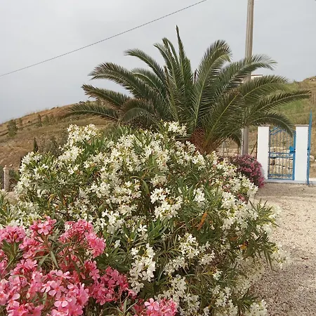 Leyland Holiday home *